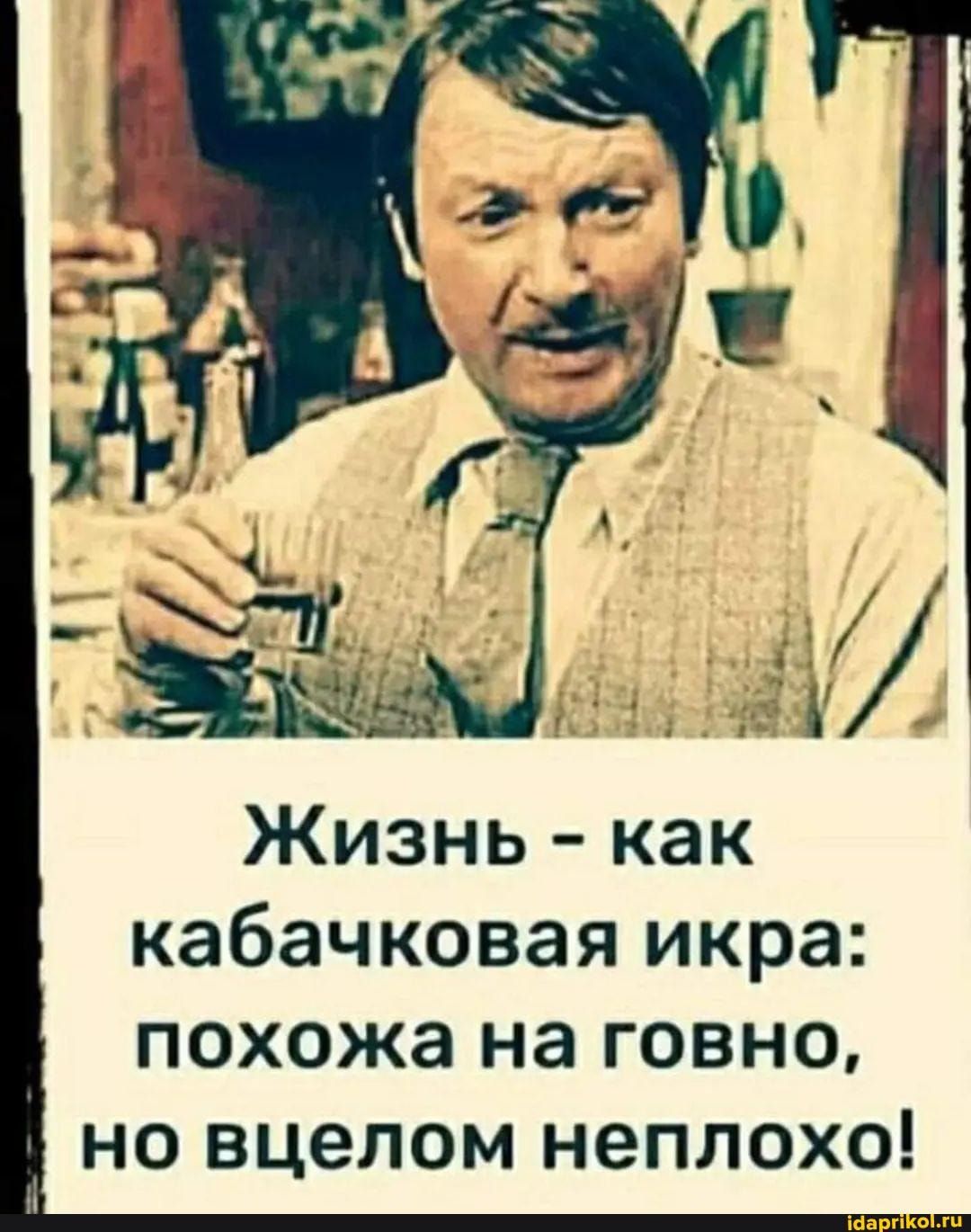 Жизнь – как кабачковая икра: похожа на говно, но вцелом неплохо! – АйДаПрикол