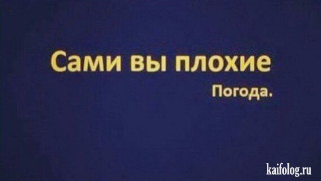 Прикольные цитаты и высказывания (40 картинок)