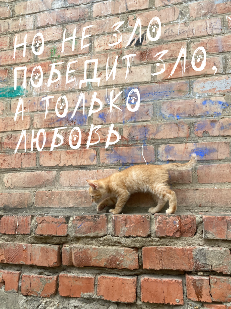 но не зло победит зло, а только любовь❤️