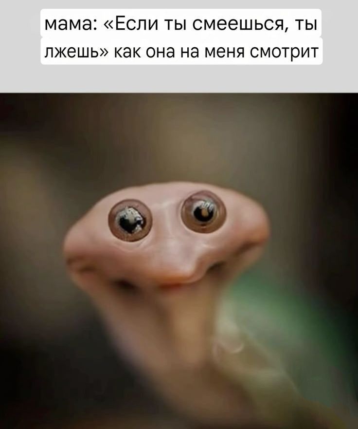 как на меня смотрит мама: