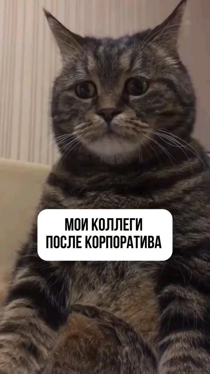 После корпоратива