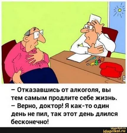 Яндекс Картинки: поиск изображений в интернете, поиск по картинке