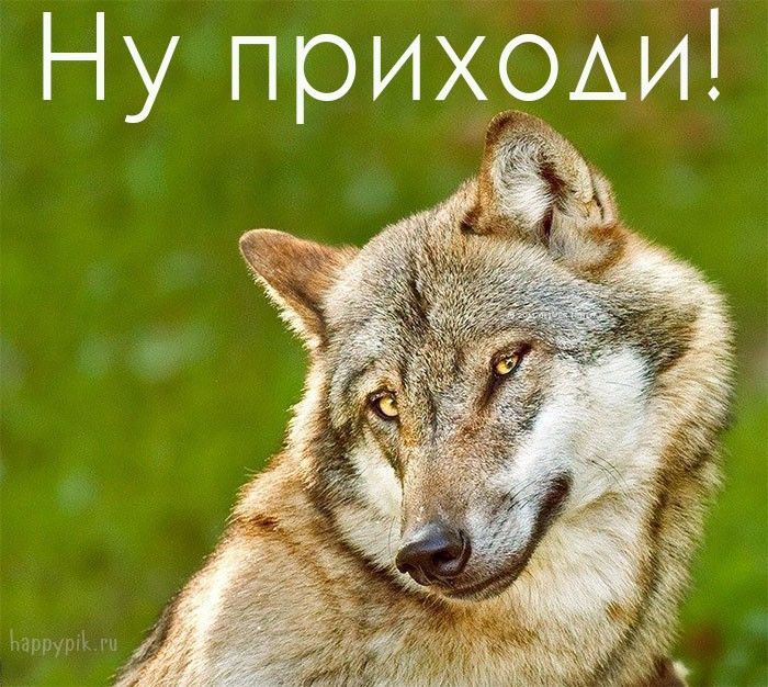 Картинки Приходи, Заходи в гости, Жду тебя – скачать