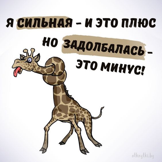 юмор очень смешно 1017