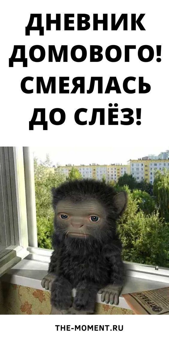 Дневник Домового! Смеялась До Слёз!