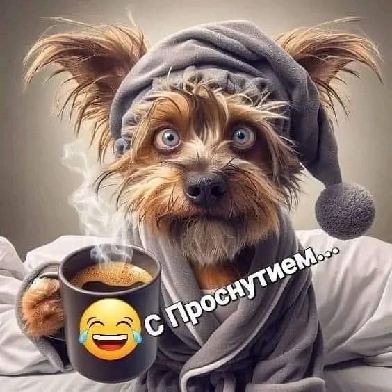 С проснутием 🤣