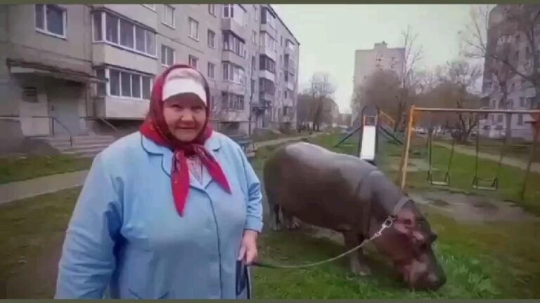 ВИДЕО С ТИКТОКА