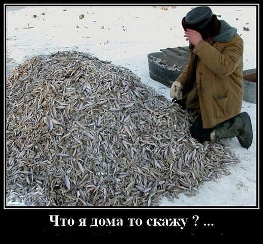 Прикольные картинки про рыбалку