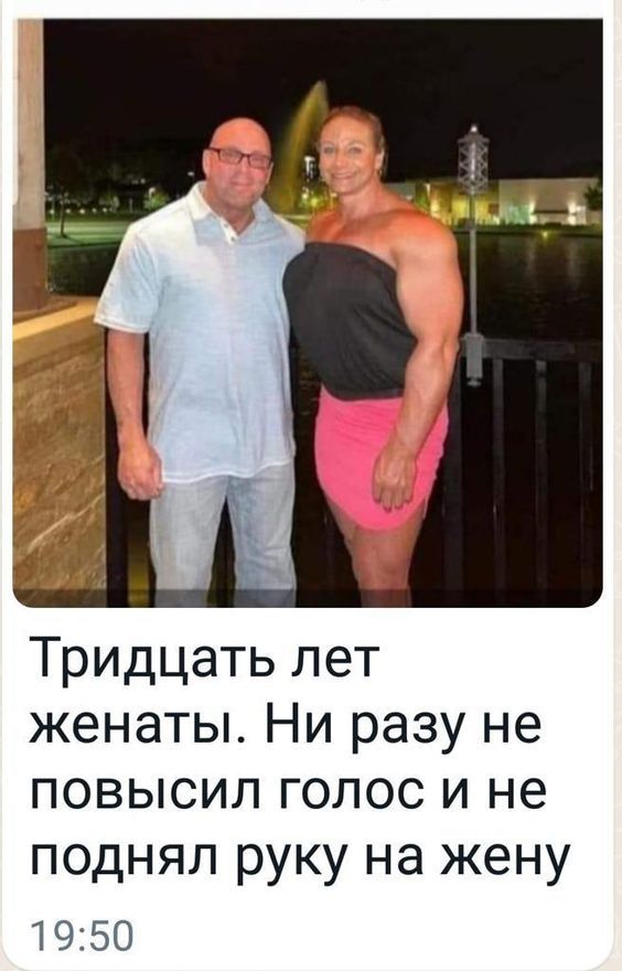 смешные открытки741