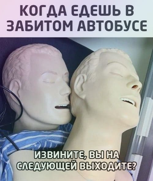 Картинки с надписями за 10.11.2020 – (20 угарных картинок)