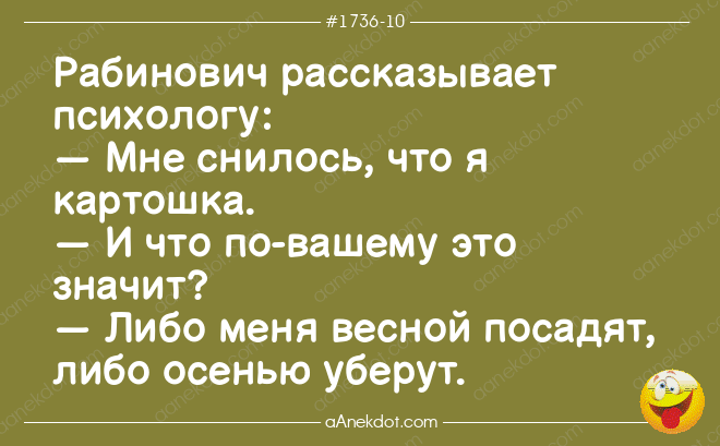 Еврейские анекдоты в которых каждое слово правда