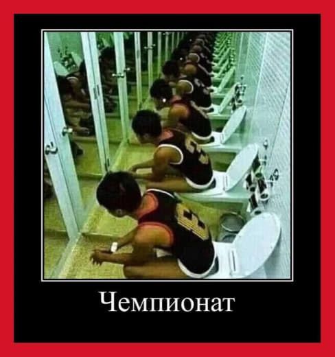 Настоящий чемпионат