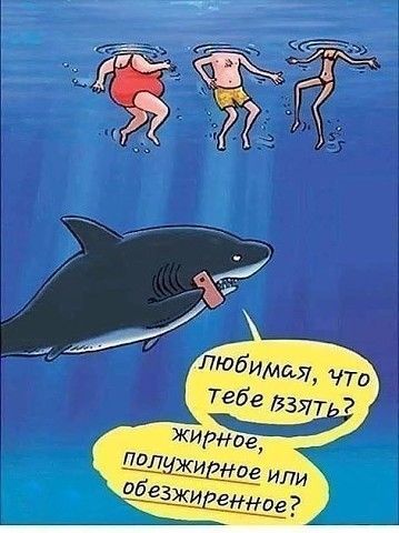 смешные открытки488