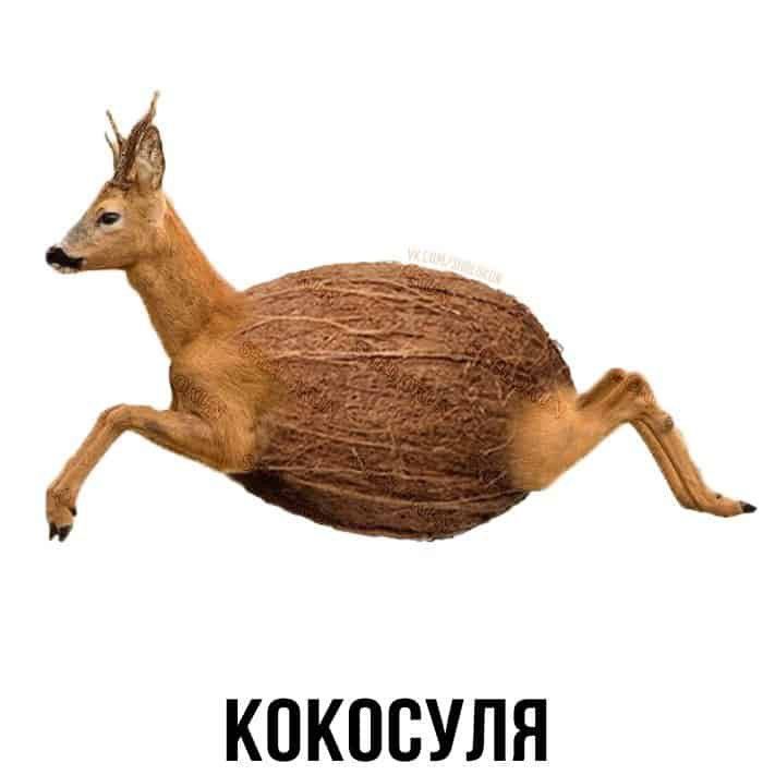 Кокосуля