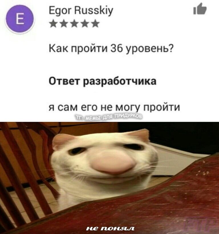 тг: мемы для придурков