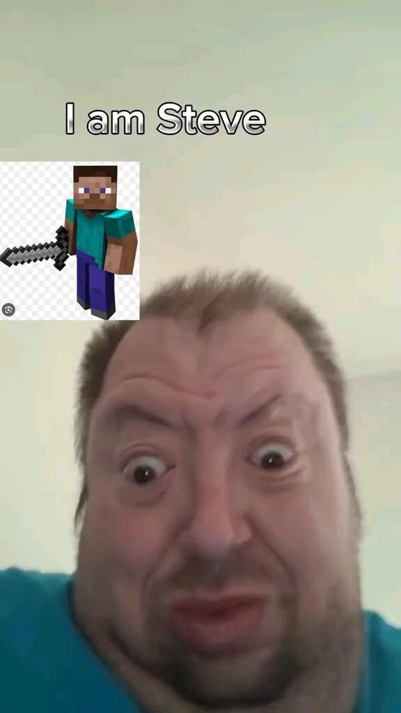 Бро реально стив