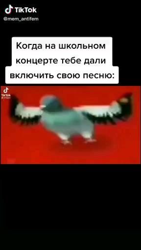 диджей симулятор голубя