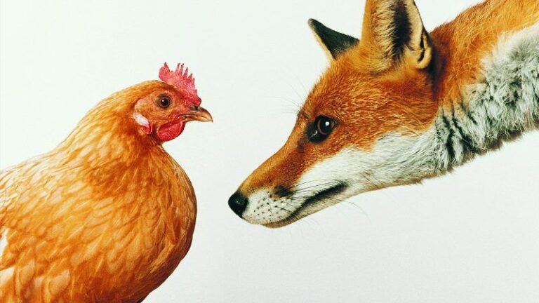 6 things recruiters will be looking for in 2018