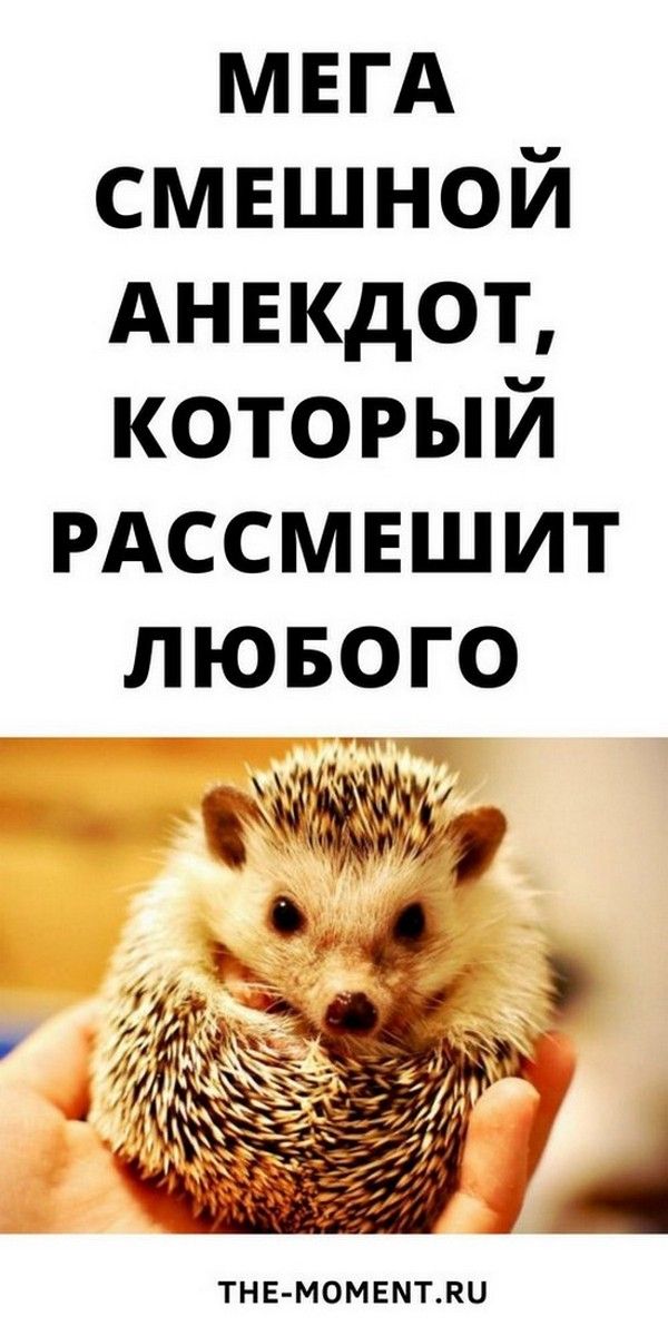 Новый и очень смешной анекдот, который рассмешит любого | Магия Жизни