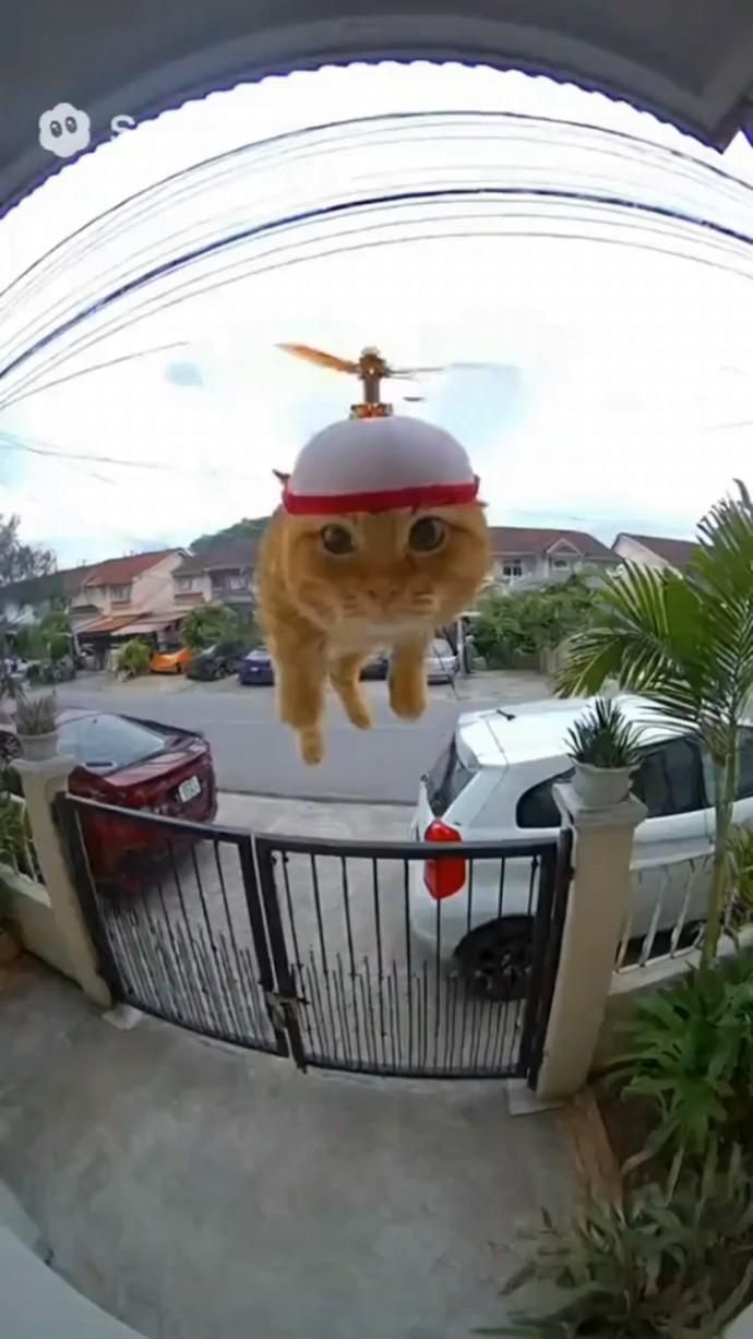 -ХЕЛП Я НЕ МОГУ НАРЖАТЬСЯ ХАХПХХАПХПХПАХПАХ😺😺😺😺