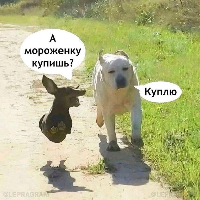 няняннНян☺️☺️☺️☺️