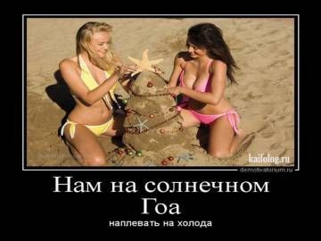 смешные открытки801