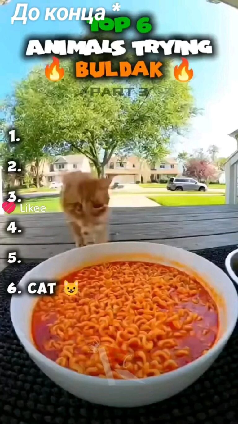 АЗАХХАХ СМОТРИТЕ ДО КОНЦА