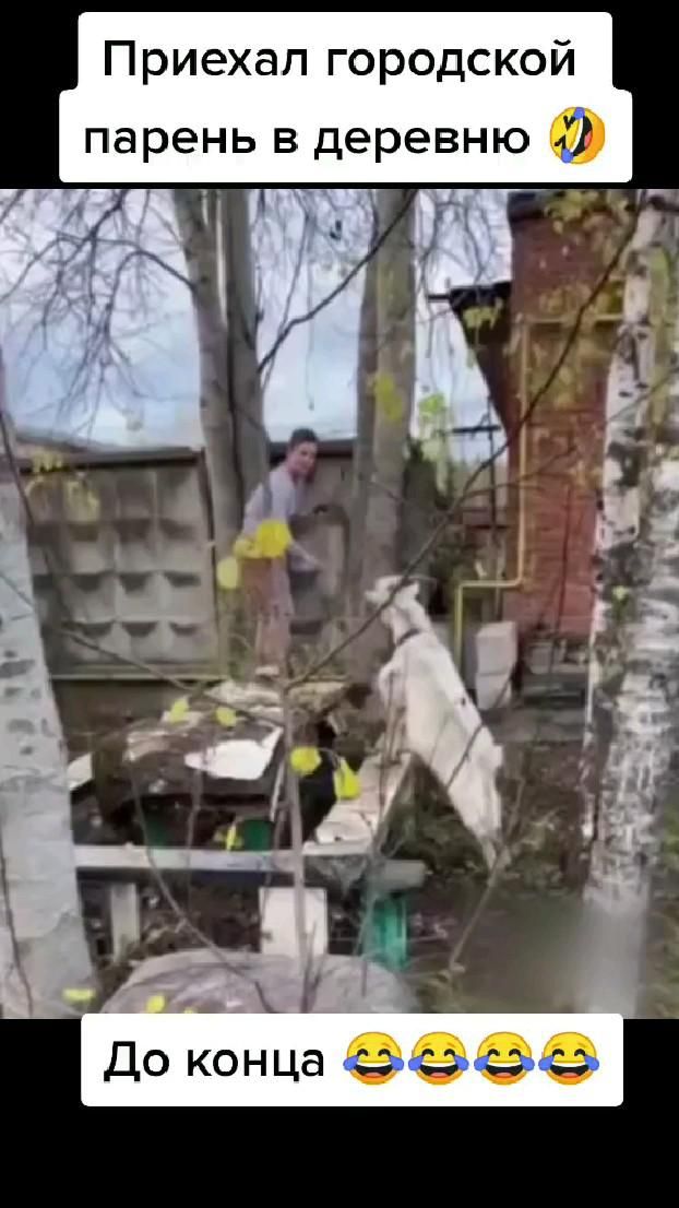 Козлик🐐😂