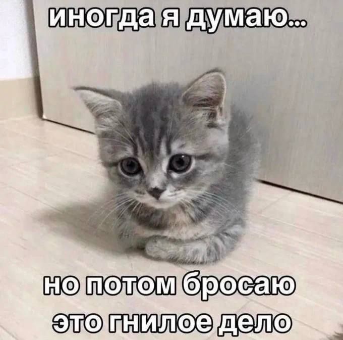 Подписывайся на канал тут мемы каждый день