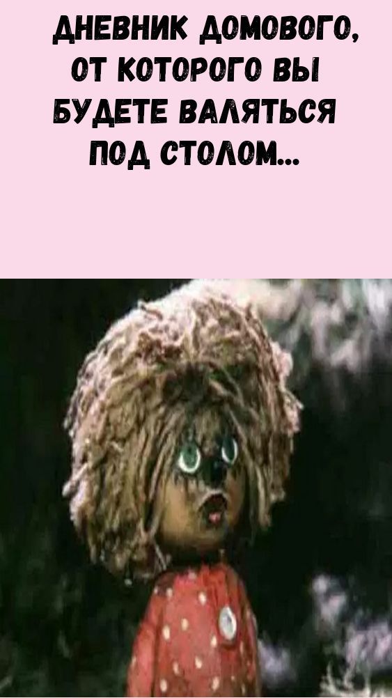 Дневник домового, от которого вы будете валяться под столом