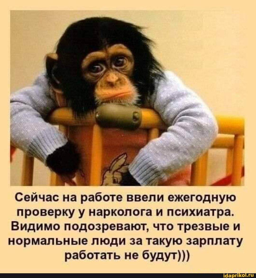 Сейчас на работе ввели ежегодную проверку у нарколога и психиатра. Видимо подозревают, что трезвые и нормальные люди за такую зарплату работать не будут))) – АйДаПрикол