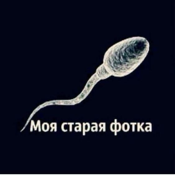 Прикольные пикчи 28.10.19 – ЯПлакалъ