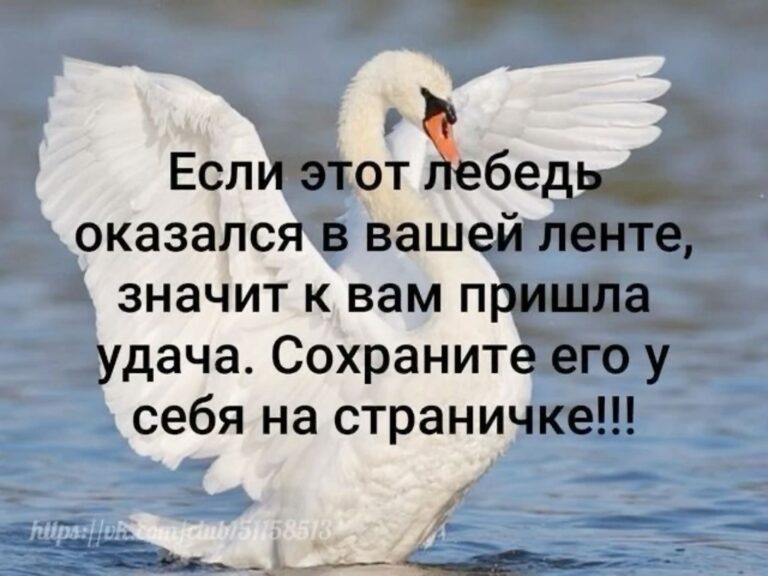 Сохрани💕🪿