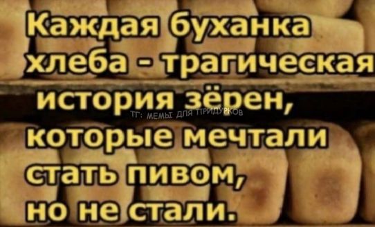 тг: мемы для придурков