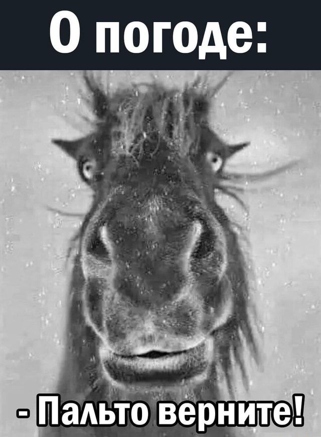 Погоде: Пальто верните! – АйДаПрикол