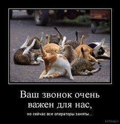 Прикольная демотивация (35 фото)