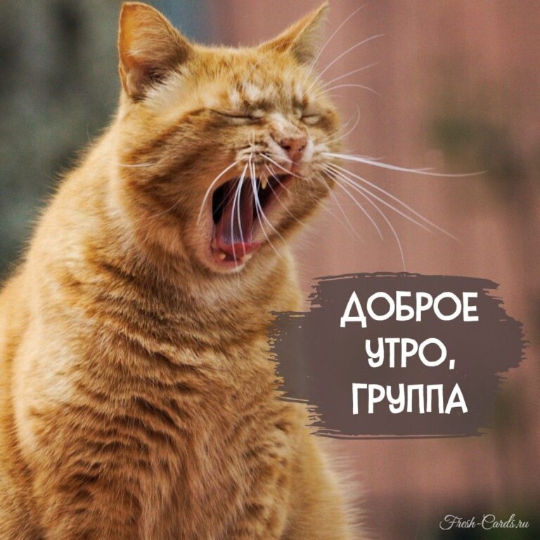 Открытки и прикольные картинки с красивыми пожеланиями и веселыми надписями