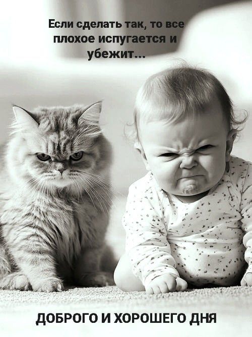 Мой Уютный Дом. Пост со стены.