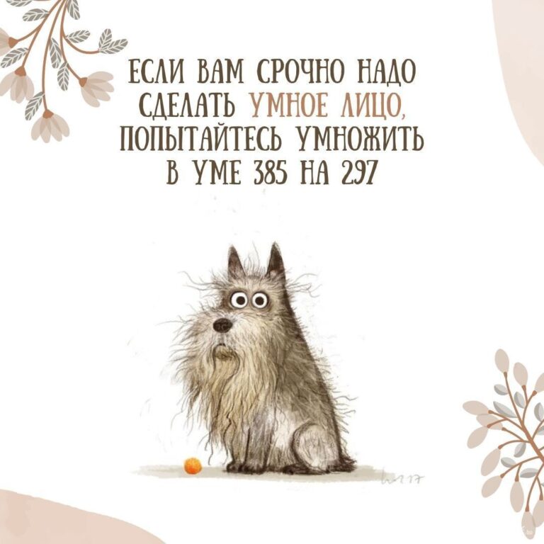 77 смешных открыток и прикольных картинок с юмором