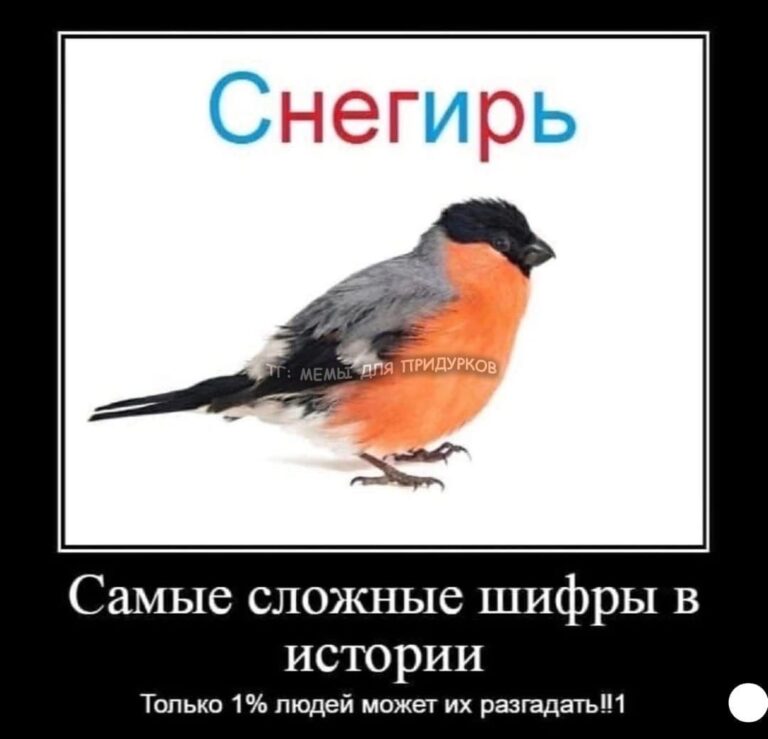 тг: мемы для придурков