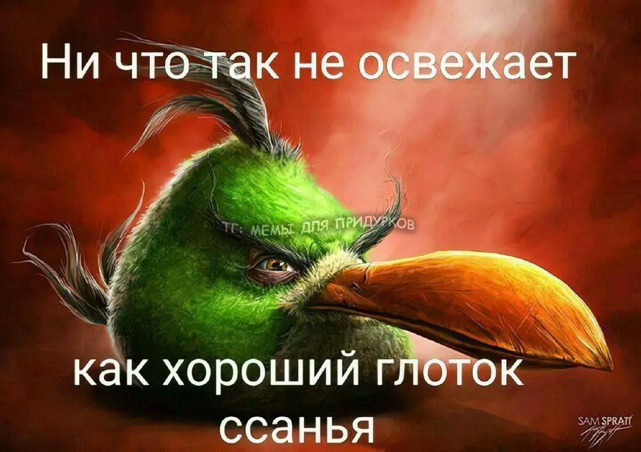 тг: мемы для придурков