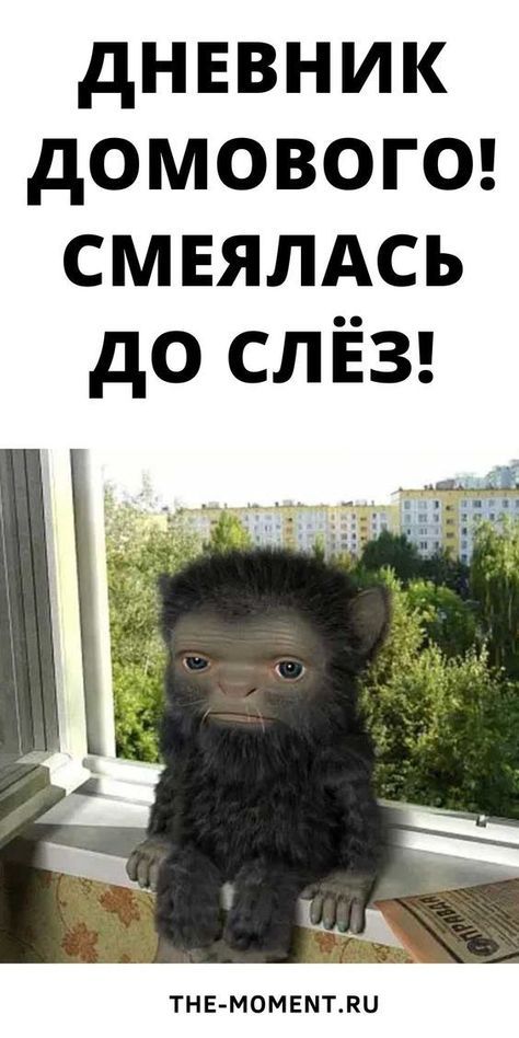 Дневник Домового! Смеялась До Слёз!