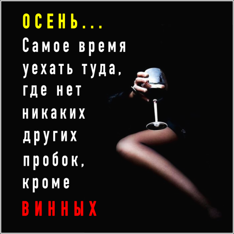 Винные Пробки