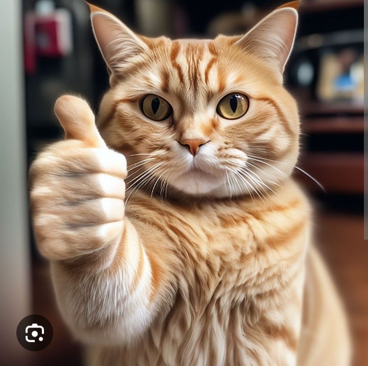 во поступок