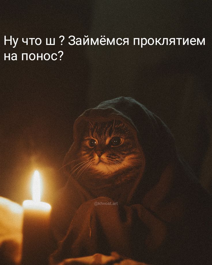 #мои мемы