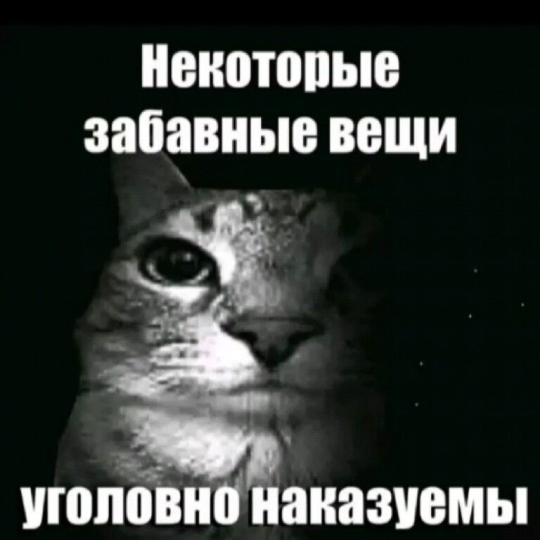 некоторые забавные вещи уголовно наказуемые