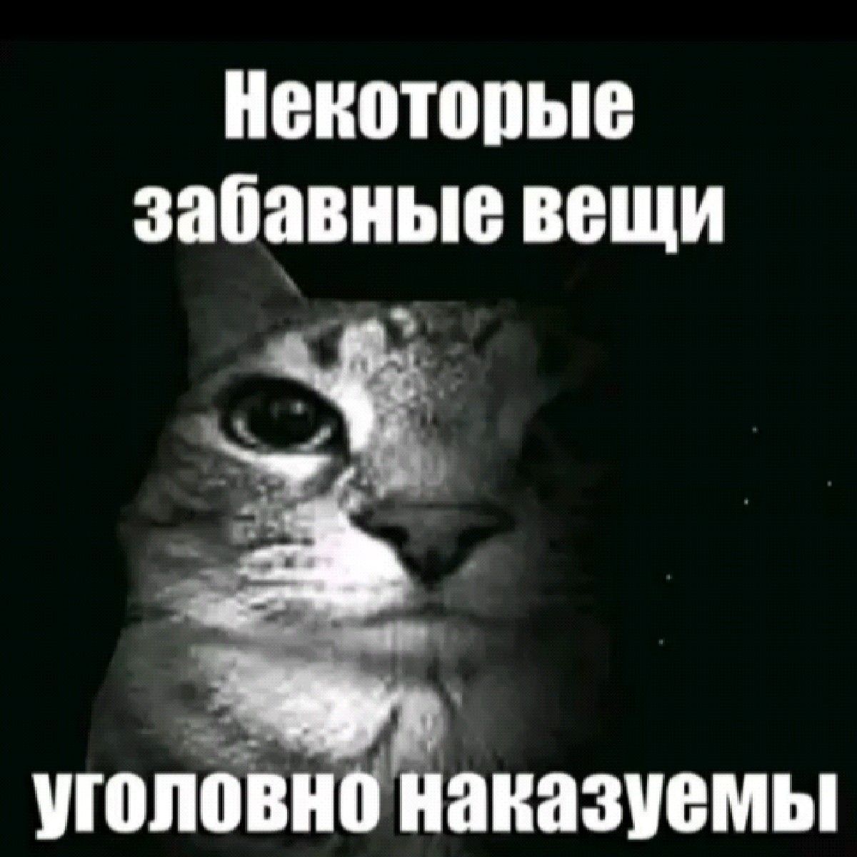 некоторые забавные вещи уголовно наказуемые