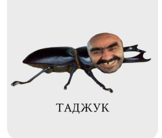 жук + таджик =таджук