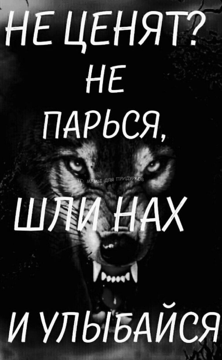 тг: мемы для придурков