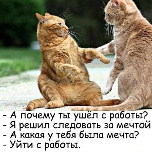 – А почему ты ушёл с работы? – Я решил следовать за мечтой – А какая у тебя была мечта? – Уйти с работы. – АйДаПрикол